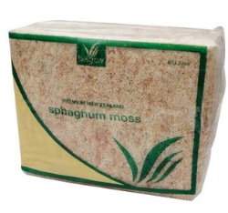 �æ������~����a1�����