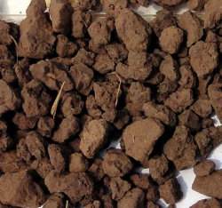 �W�w���ɤg~10���ɸ�