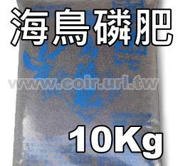 �j���P~�����C��10�����