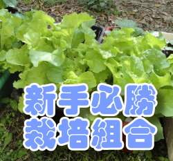 �s�⽭�����զX(2�ؤ������1��+����M�Ϊd���g15����+���1�]+��η��֤�9��)