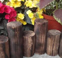 �t����X�а��C��Ϋ�(���|8cmX12��)96cm