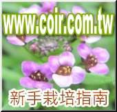 花園城堡-栽培新手入門